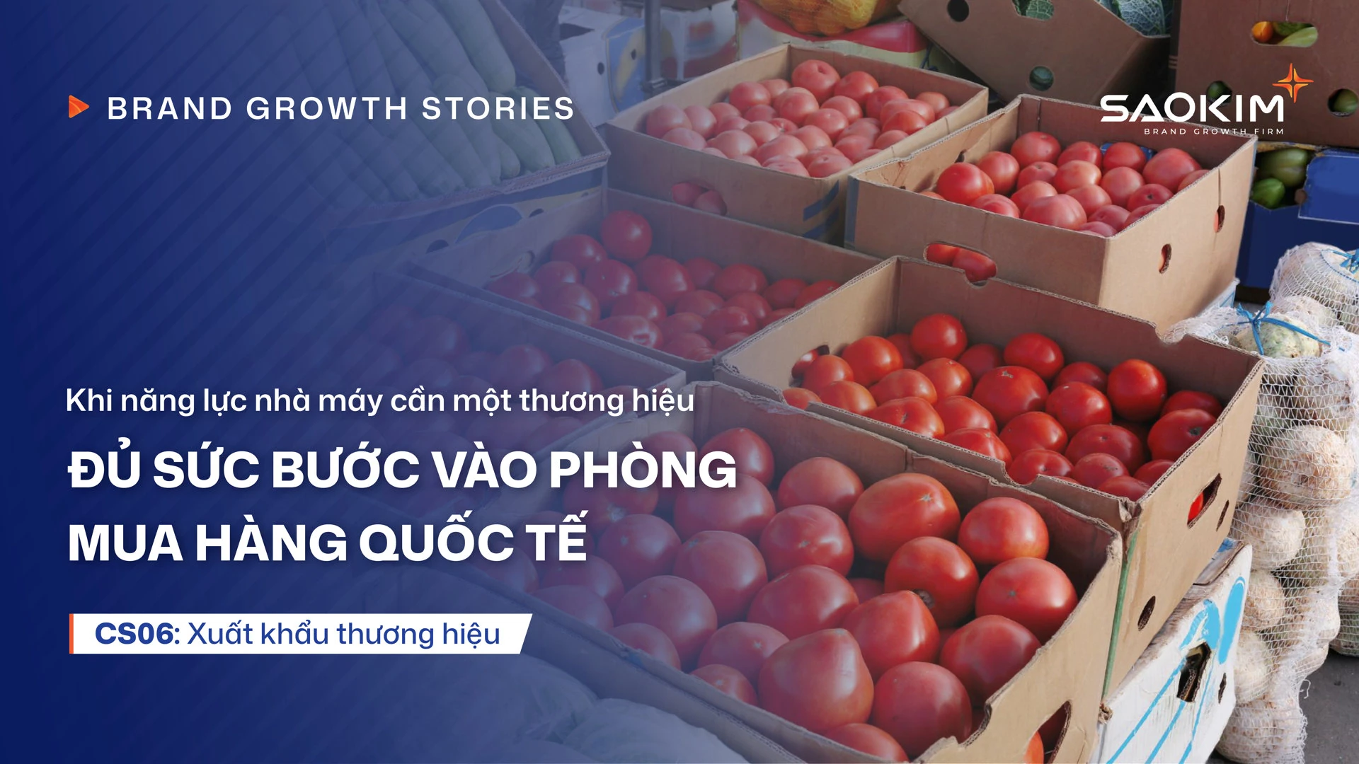 Doanh nghiệp may mặc Việt chuyển từ gia công sang xây dựng thương hiệu quốc tế